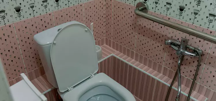 Meeting Diverse Needs With Accessible Restroom Solutions in Highland Park, IL